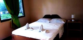 Amazing Cave Camotes - Rooms & Accommodations - San Francisco - 4