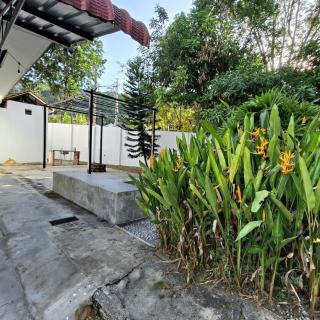 TG103a Pet Friendly 15pax, near beach side - Tanjung Bungah - 2