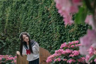 Lijiang Hearing Flower Hall Garden Inn Butterfly Language Shop - Lijiang - 4