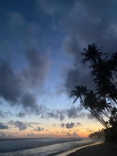 Rangana Beach Rest - Talpe - 6