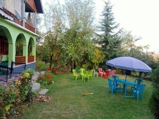 Greenvilla - - 3