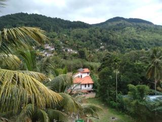 Jayathmaguest - Peradeniya - 1