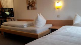 Pension Borna - Borna - 3