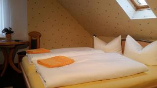 Pension Borna - Borna - 5