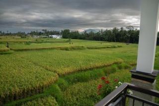 Ananditha Villa Ubud Ricefield Views - Ubud - 9