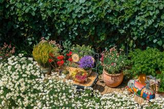 Lijiang Hearing Flowers Hall Flowerless B&B - 2