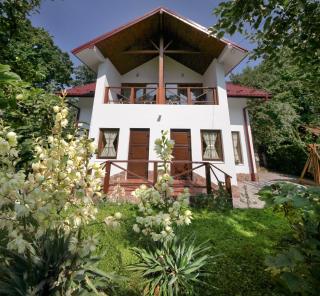 Villa Roksolana - Truskavets - 9