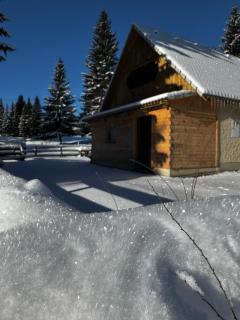 Triglav Cottage - Bohinj - 9