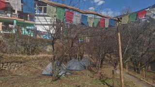 Basecamp Manali - Manāli - 5
