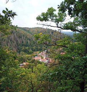 Hotel Bodethal - Thale - 6