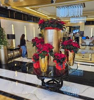 Superb 1 BR apt next to Burj Khalifa and Dubai mall - Dubai - 9