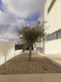 Casa O Carrasco Design house with pool - Reguengo Grande - 6