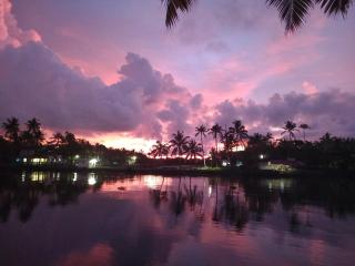 Nature's Nook Homestay - Cochin - 2