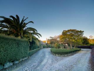 Captain's garden B'nB - Richmond - 5