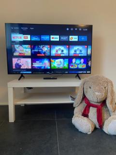 Get-your-flat - FeWo 155, 2 Zr Kü & Traum-Retro-Bad, cosy & super sweet, stadtnah & ruhig, Hund nur auf Anfrage, - 4