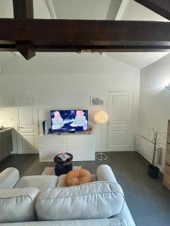 Appartement Entier Bord de Saône - Parking Privé - Saint-Germain-au-Mont-dʼOr - 8