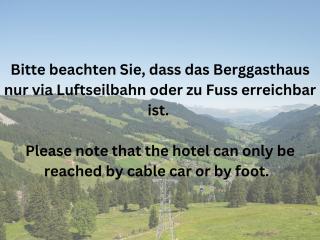 Berggasthaus Holzegg - Accessible Only by Cable Car - Alpthal - 1