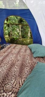 Glamping Macacu - 2