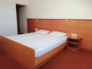 Apartment Paradise - Moravske Toplice - 3