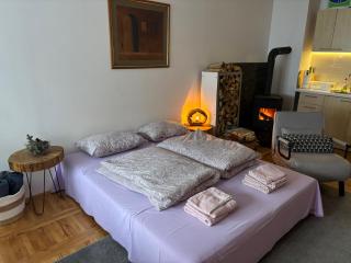 Studio apartman Winter Place - 8