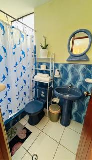 Fresia's House - Tacna - 8