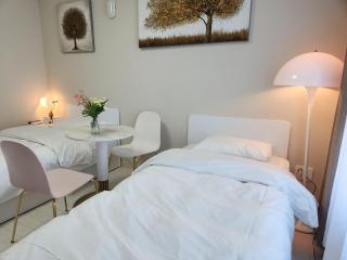 DSR B&B Hotel lily room - Daegu - 2