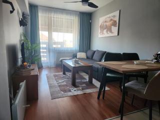 Exclusive Ski and Spa Paradise Stylish Apartment - Bansko - 8
