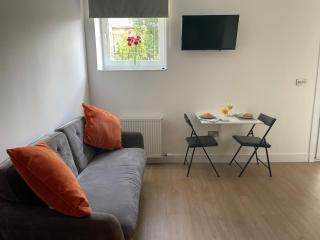 Modern studio apartment, access to Holyrood & City - 1