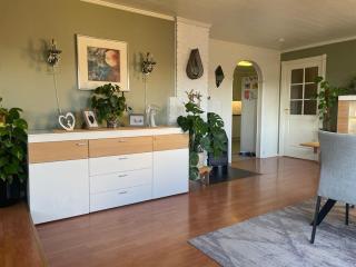 Stor enebolig sentralt på Senja - 1