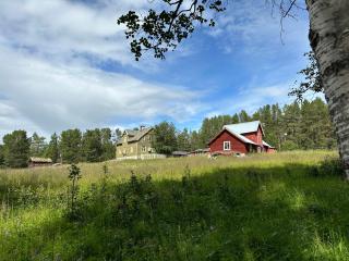 Simple family cabin at Haugen, Femundsmarka - Elga - 7