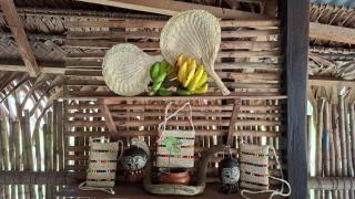 Iquitos, Amazonas Wildlife Lodge - Iquitos - 5