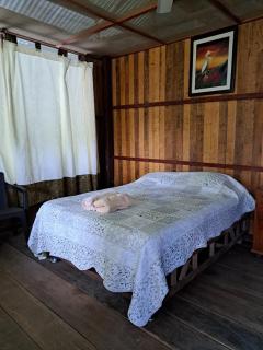 Iquitos, Amazonas Wildlife Lodge - Iquitos - 3