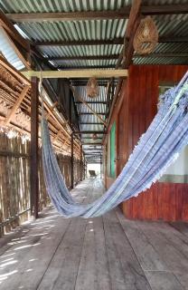 Iquitos, Amazonas Wildlife Lodge - Iquitos - 0