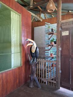 Iquitos, Amazonas Wildlife Lodge - Iquitos - 2
