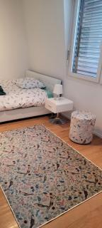 3-bedroom apartment with spectacular view - 7