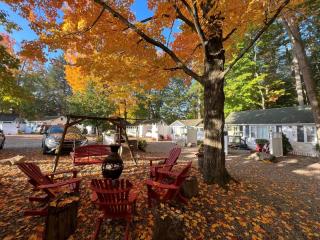 Cottage 4 - 1 Bed w/ Loft / 1 Bath & Courtyard - Wolfeboro - 1