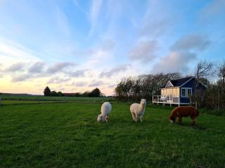 Little, nice alpaca-cottage for 2 with beautiful view - Løkken - 0