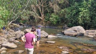 KSK Homes Munnar - Anaviratty - 9