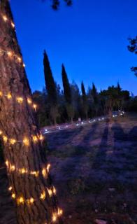 Le Mazet de Papi en Garrigue - 6