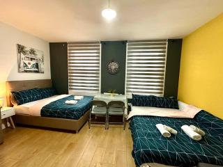 Spacious 2Beds Flat in London - Londra - 2