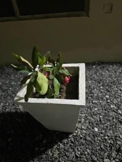 Cozy Home for Small Groups - 1