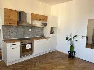 Byt Podoli - Prague - 0