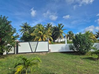 Fleur d'Hibiscus - 3