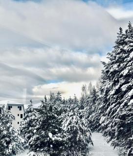 Milanovic Apartman - Kopaonik - 9