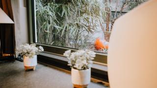 Hollands Pfefferhaus Wein Wald&Weitblick 2SZ Klimaanlage Terrasse Fahrradgarage - 8