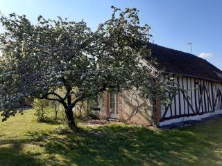 Par les Prés et les Bois de Sologne - - 7