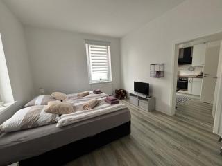 Apartment, Ferienwohnung- Bad-Küche- Parkplatz - Braunschweig - 9