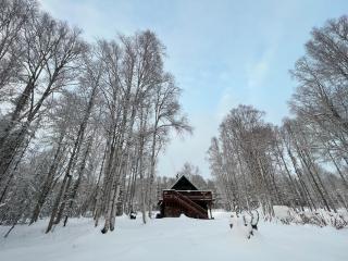 Alaskan Wild Rose Retreat - Talkeetna - 7