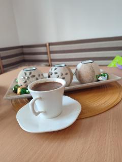 Latinski apartman - Soko Banja - 2