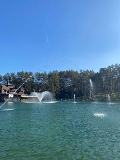 Apartman Snovi - uživanje u prirodi - Zlatibor - 3